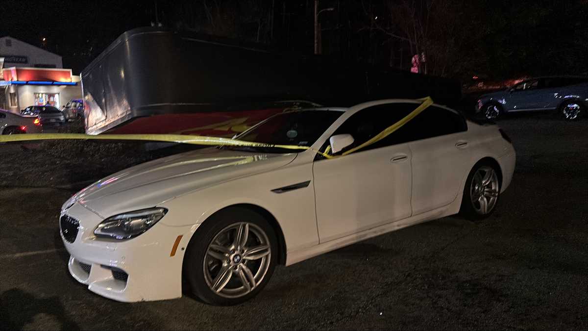 Large tree falls on house in Pittsburgh