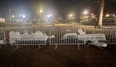 Ice sculpture made for Boston 'No Kings' rally destroyed by vandals