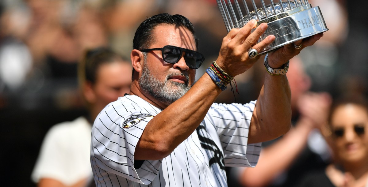 The White Sox will win the World Series!