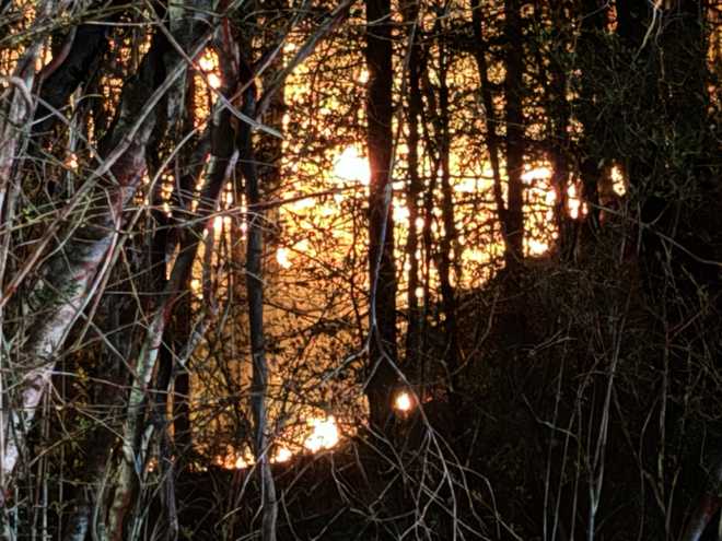 Multiple agencies respond to large woods fire in Wilkes County multiple agencies respond to large woods fire in wilkes county