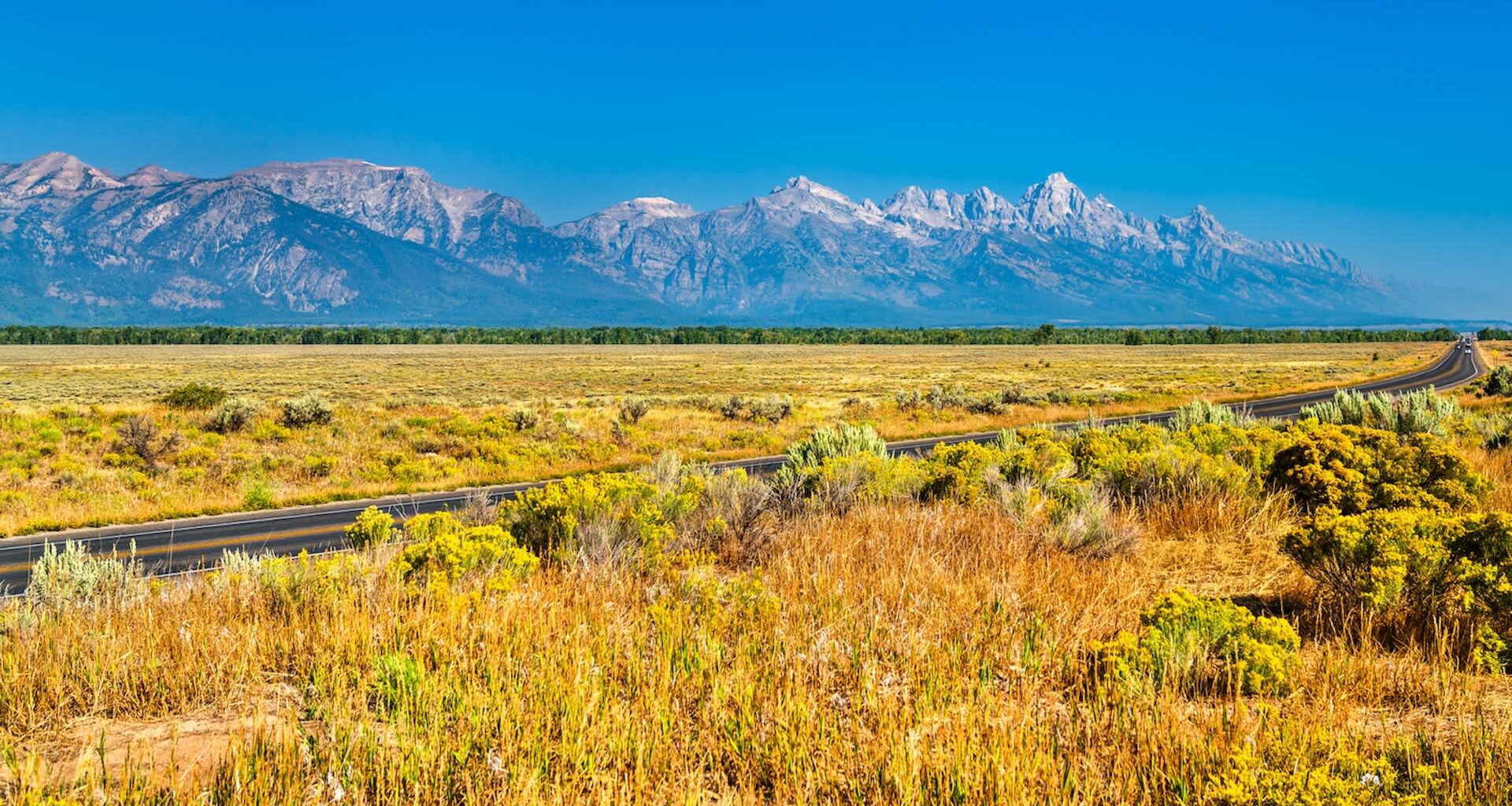 Invasive species are causing escalating damage across ecosystems in the United States, prompting federal officials to warn that the issue has grown so severe it is now "a matter of national security."