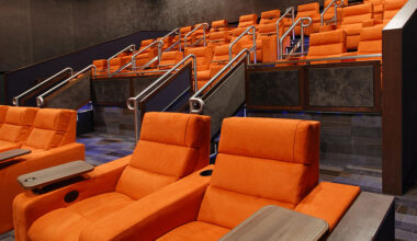 ipic bankruptcy