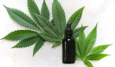 Federal CBD Health Insurance Plan Will Reportedly Allow THC Amount Far Exceeding Hemp Limit Signed By Trump