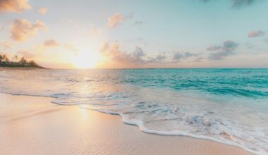 seashore during golden hour