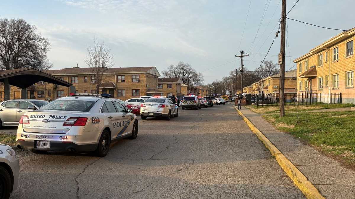 2 dead, 1 hospitalized after triple shooting in Algonquin