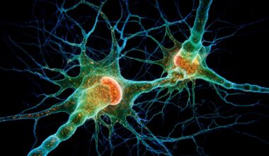 Neuroscience News logo for mobile.