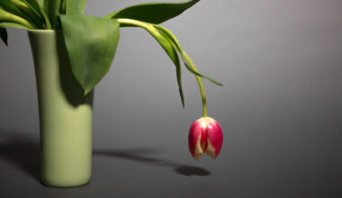 Always tired? Here are 7 natural ways to boost your energy : NPR