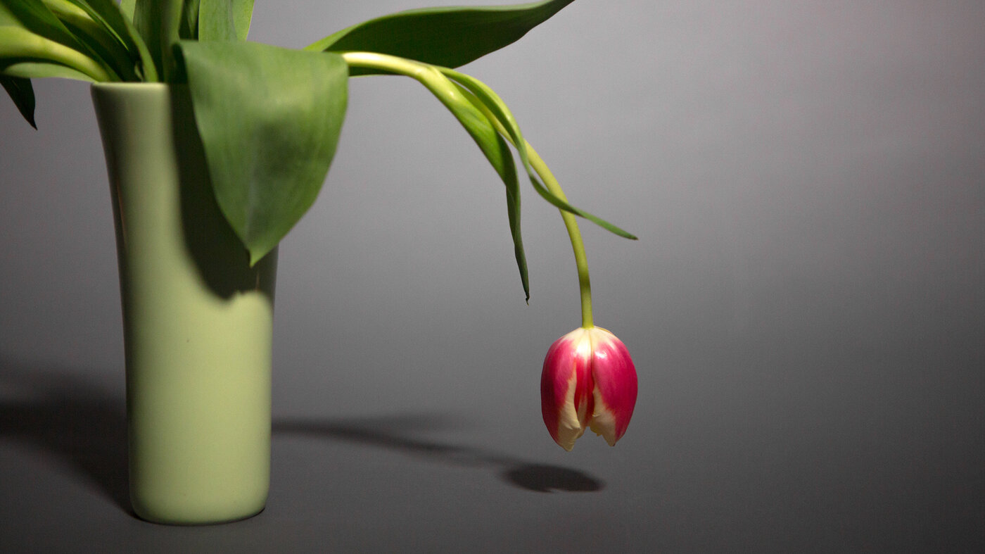 Always tired? Here are 7 natural ways to boost your energy : NPR