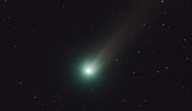 Newly Discovered Comet Could Appear During the Day—If It's Not Destroyed First