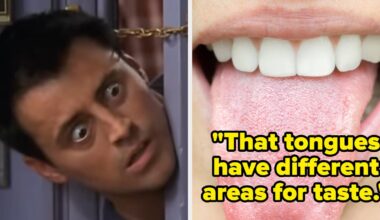 15 Facts You Learned In School That Have Since Been Disproven