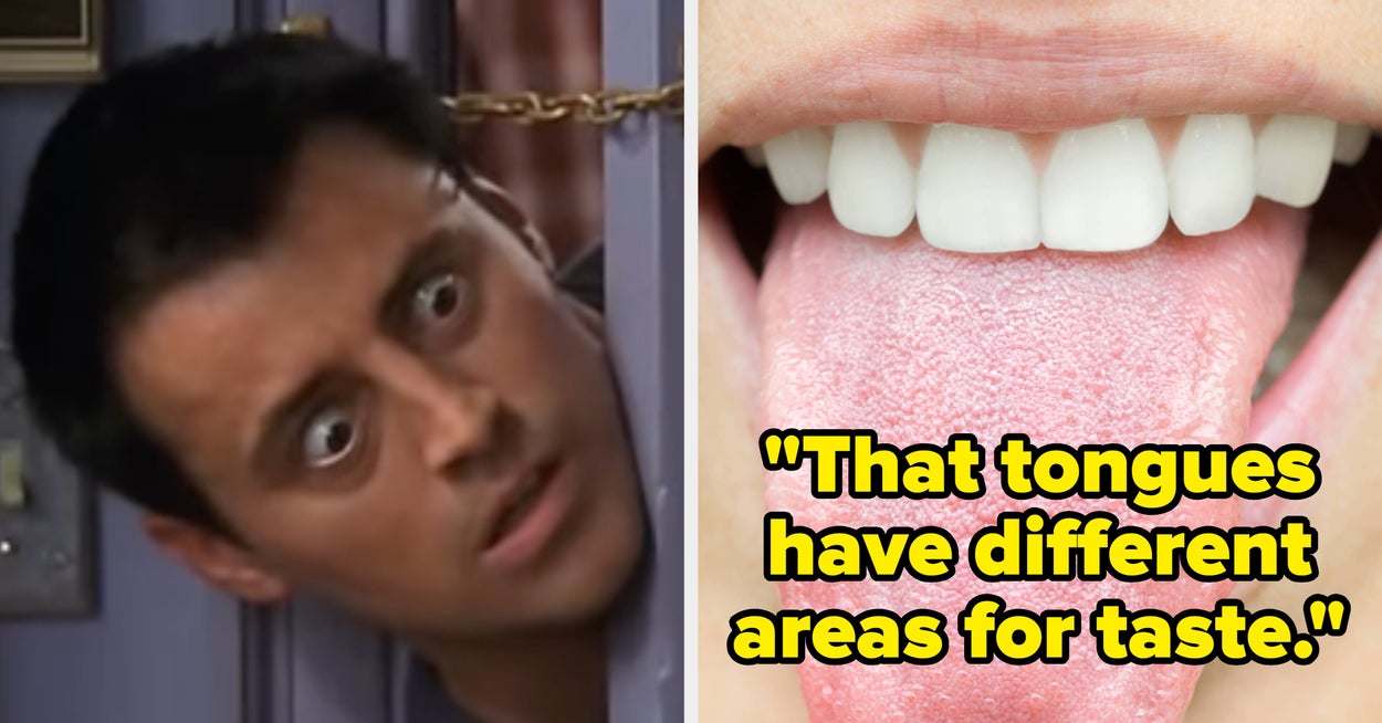 15 Facts You Learned In School That Have Since Been Disproven