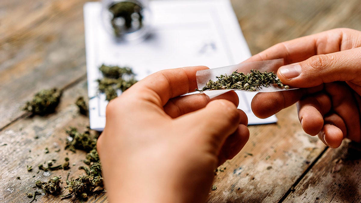 Young adult man rolling a marijuana joint