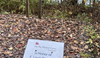 Pen Bay: The pipe dream that paid off