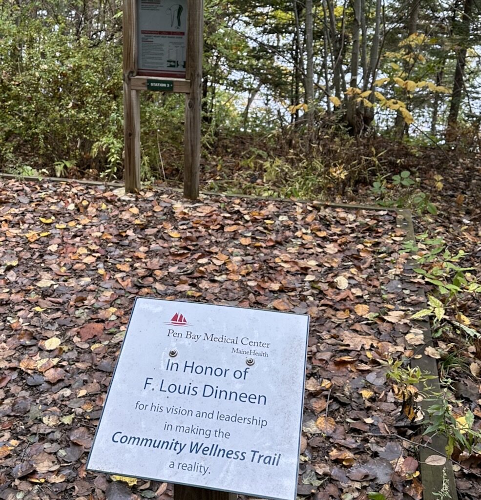 Pen Bay: The pipe dream that paid off