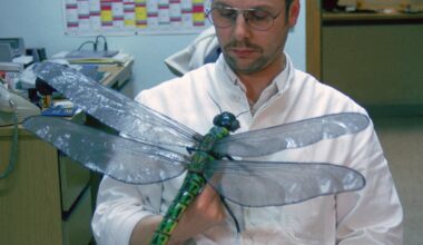 Study Challenges Popular Theory on Why Primordial Bugs Were So Darn Huge