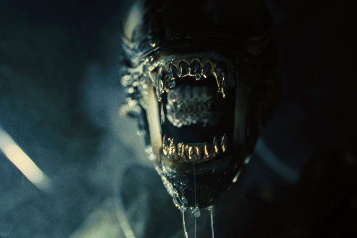 Michael Sarnoski Could Direct "Alien: Romulus"