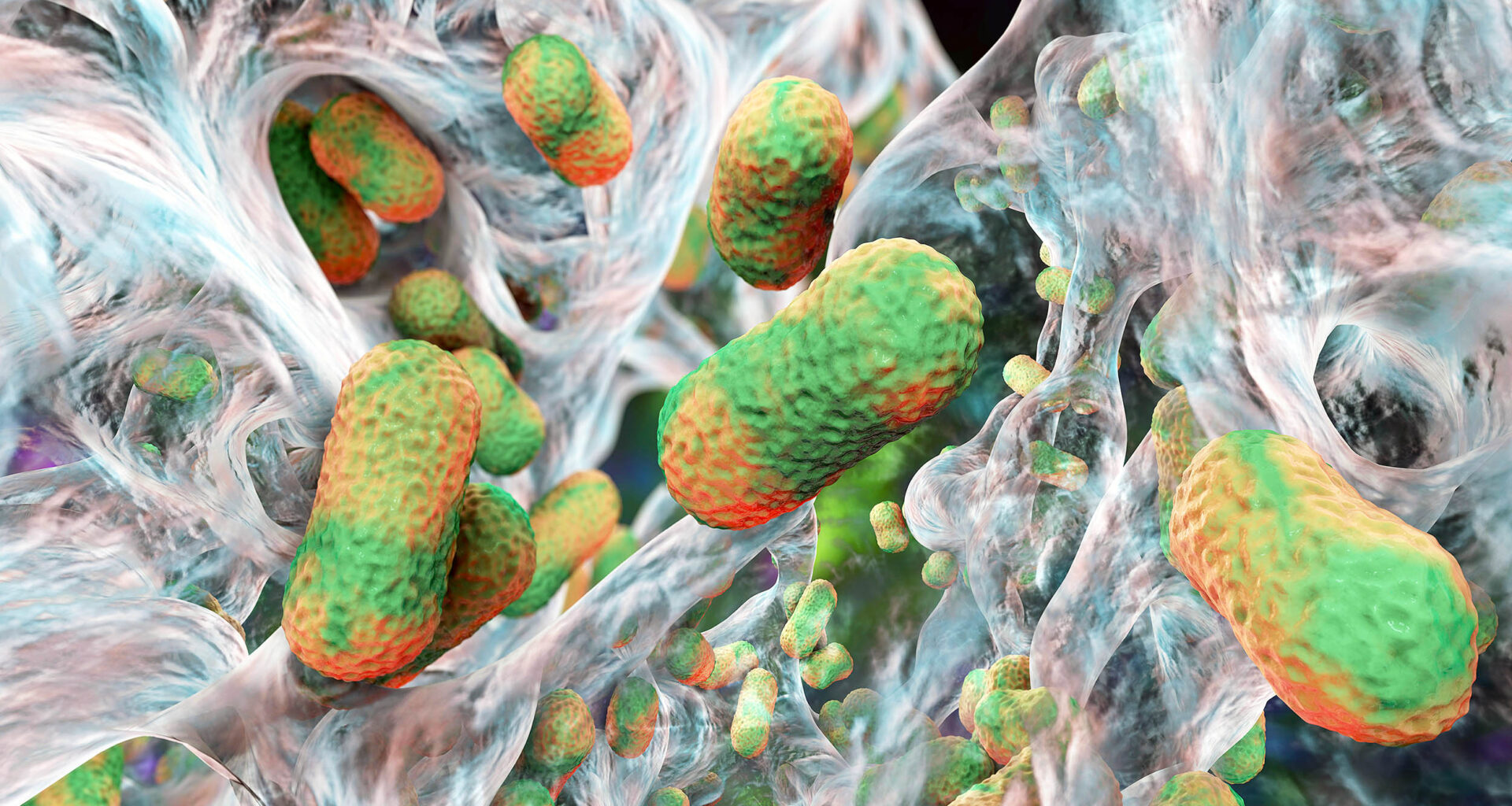 Microplastics are spreading antibiotic-resistant bacteria globally