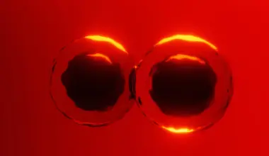 Textbooks challenged by new discovery about how cells divide