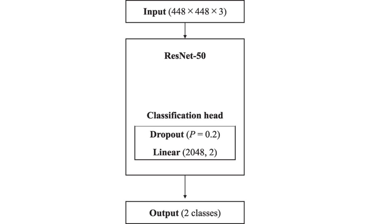 Modified Resnet 50 Architecture For Binary Acromegaly Classification ©the Journal Of Clinical Endocrinology And Metabolism.