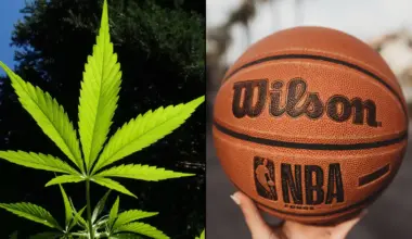 WNBA Offers To End Marijuana Testing For Women's Basketball Players As Part Of Reported Deal With Union