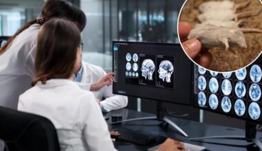 Scientists revive frozen brain activity in cryosleep leap