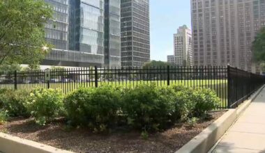 Chicago hospitals named among Newsweek’s World’s Best Hospitals – NBC Chicago