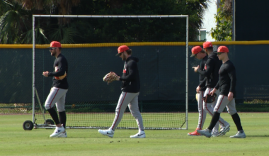 What to expect from the Orioles outfield?