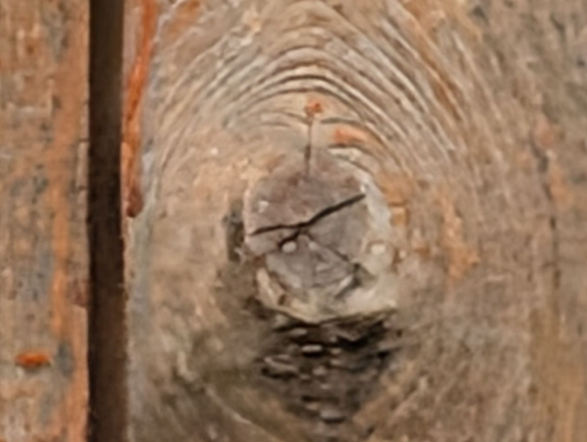 Google Pixel 10 Pro XL 100x  sample.