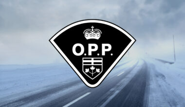 The What Three Words App Could Save Your Life