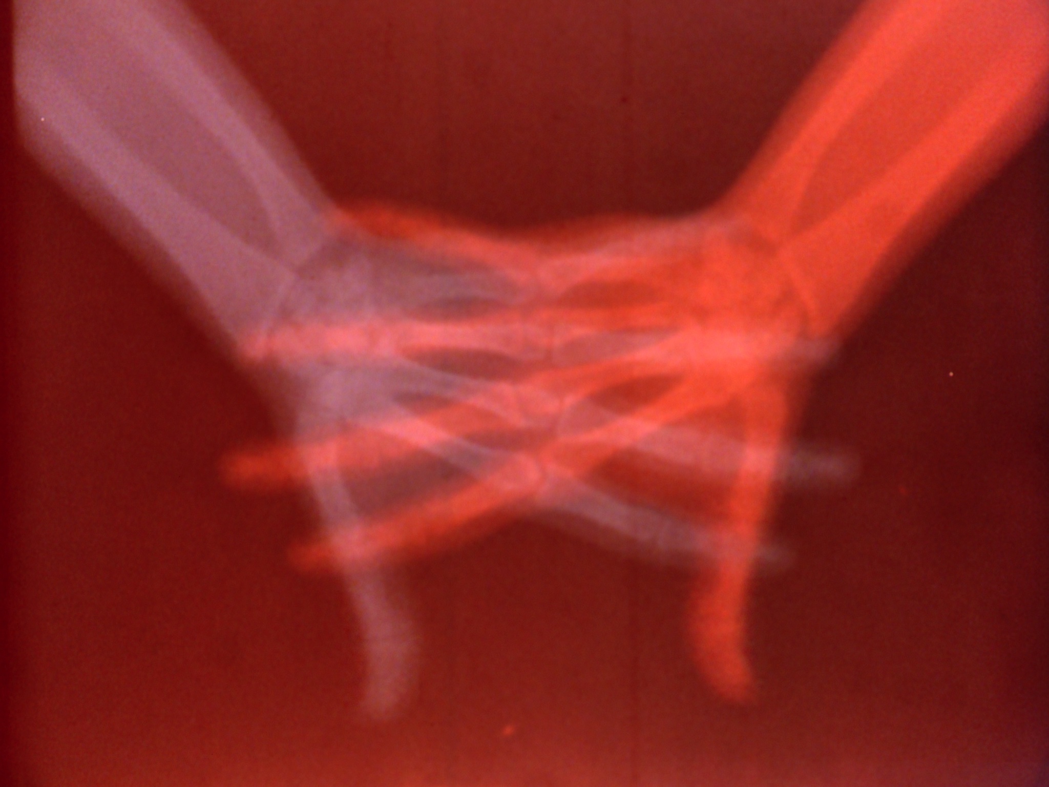 Barbara Hammer, “Sanctus,” 1990. 16mm film transferred to HD video