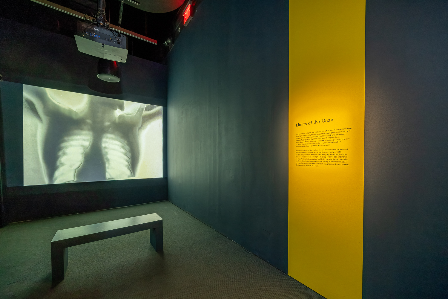 Installation view of “Overexposed: Art, Technology, and the Body” at the Museum of the Moving Image in Queens, NY