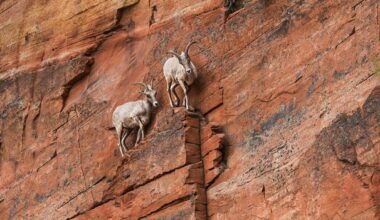 Nine tips to help you cope during turbulent times