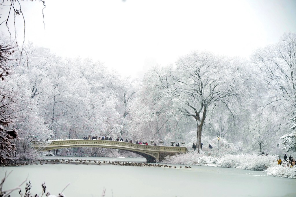 The first snow of the seasons blankets Central Park,