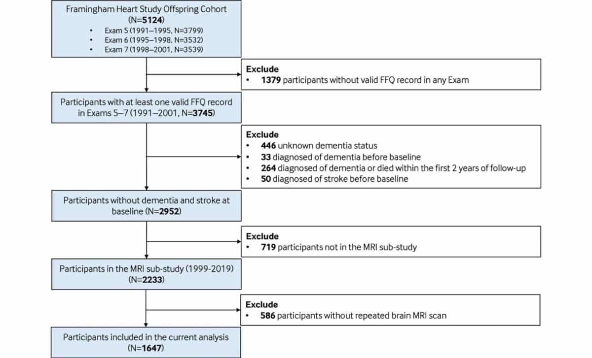 Participant Inclusion Flowchart. Ffq, Food Frequency Questionnaire. © Journal Of Neurology Neurosurgery & Psychiatry