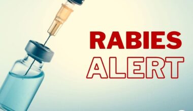 Rabid Raccoon In Granby, Police Issue Alert