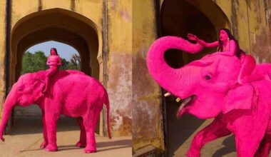 A woman wearing pink clothes sits atop a bright pink elephant, passing through an arched doorway with yellow walls, shown from two different angles.