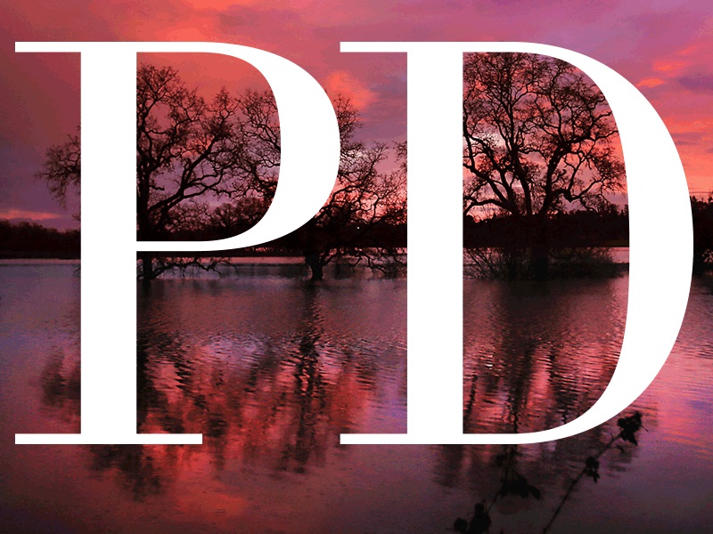 What to know before SF Giants' Opening Night game vs. Aaron Judge, Yankees