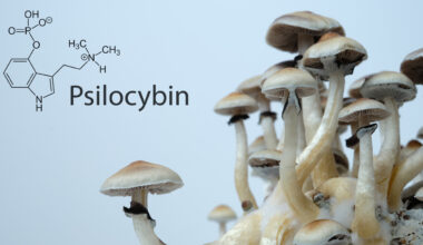 Psilocybin unlocks a specific biological signature in the brain linked to profound mystical states