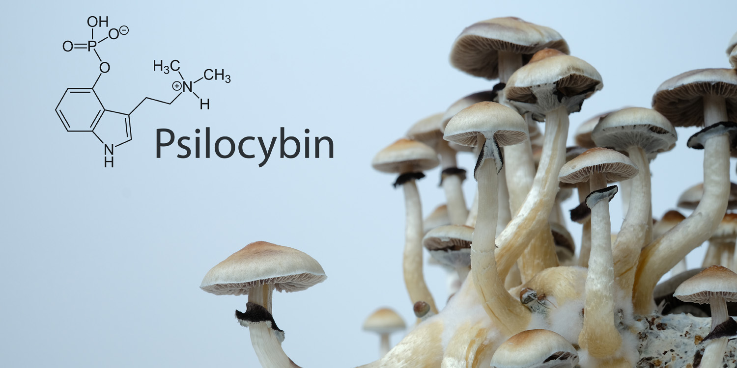 Psilocybin unlocks a specific biological signature in the brain linked to profound mystical states