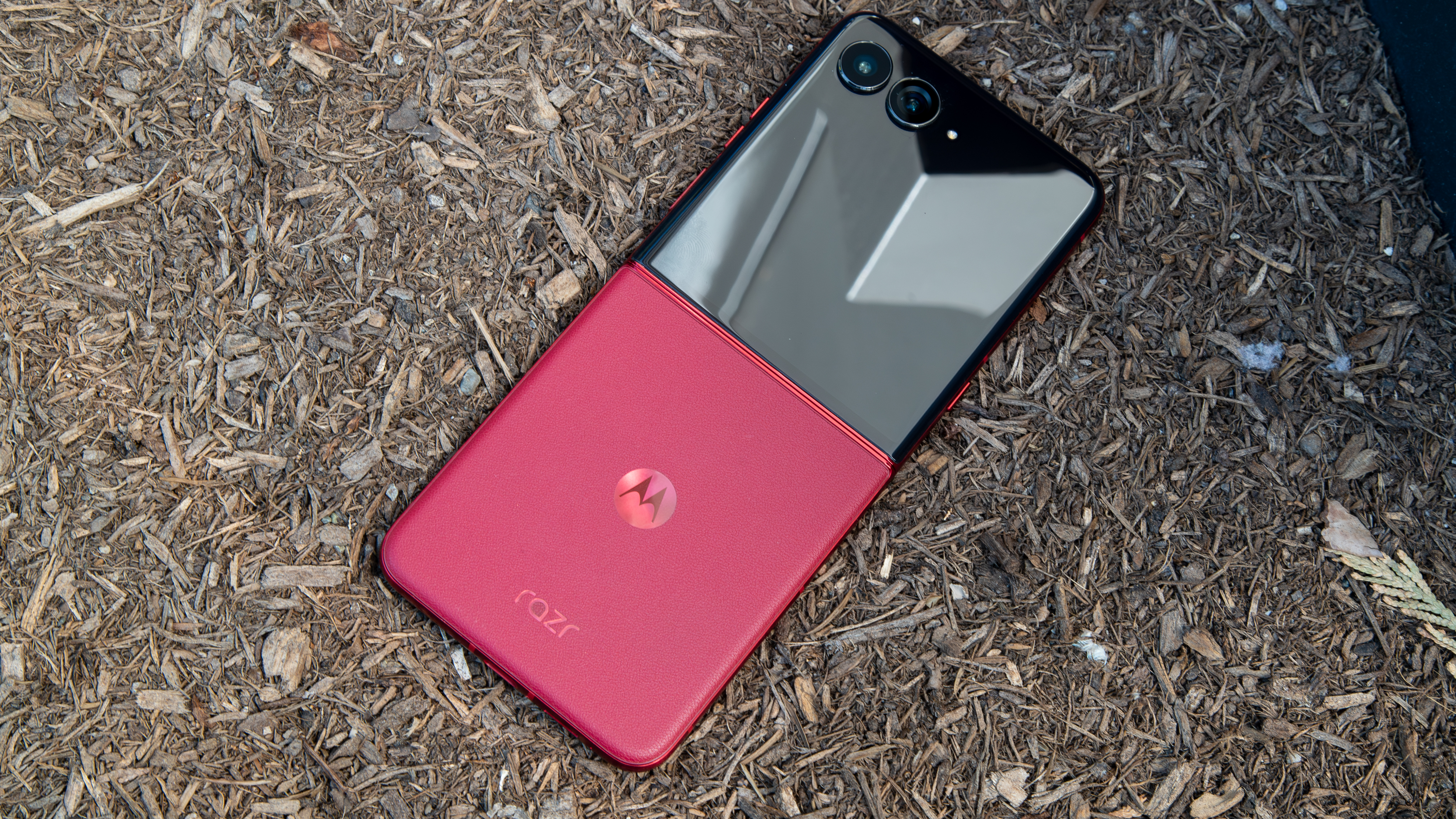 The Razr Ultra 2025 lying face down in mulch