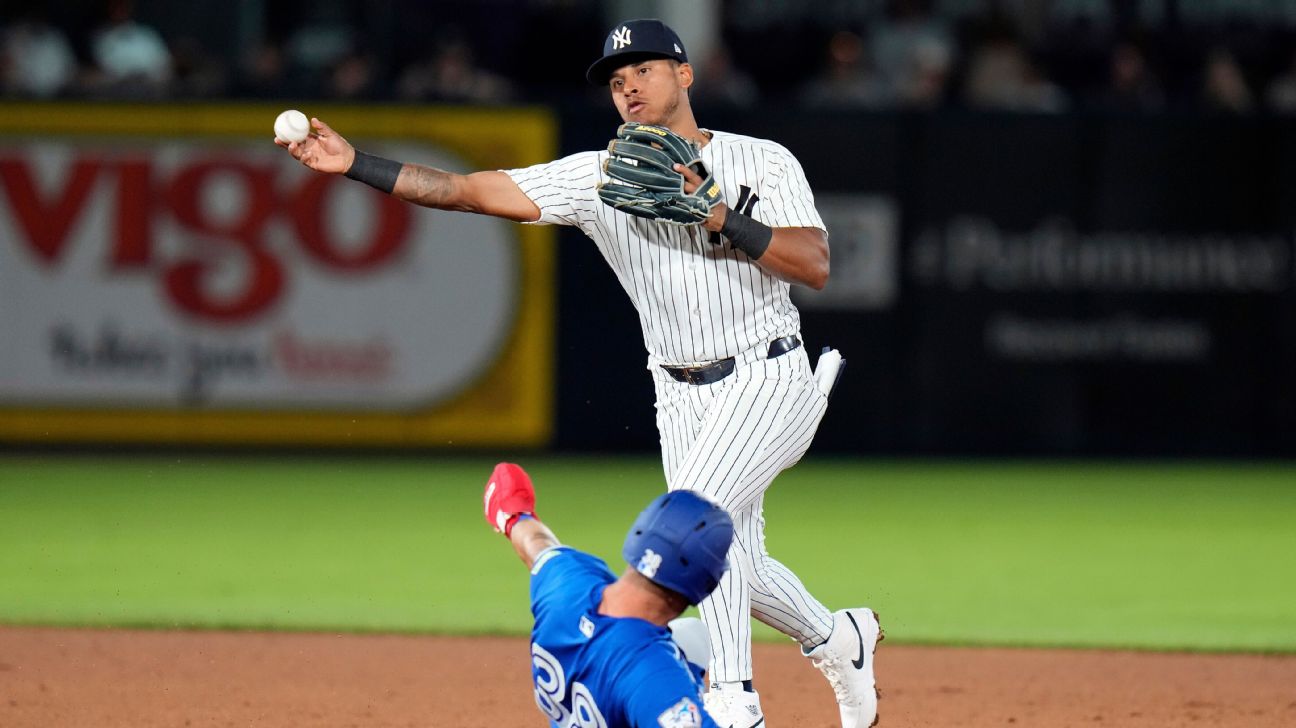 Nationals acquire infielder Vivas in trade with Yankees