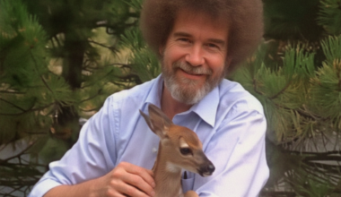 Create Custom Relaxation Sounds With This Free Tool