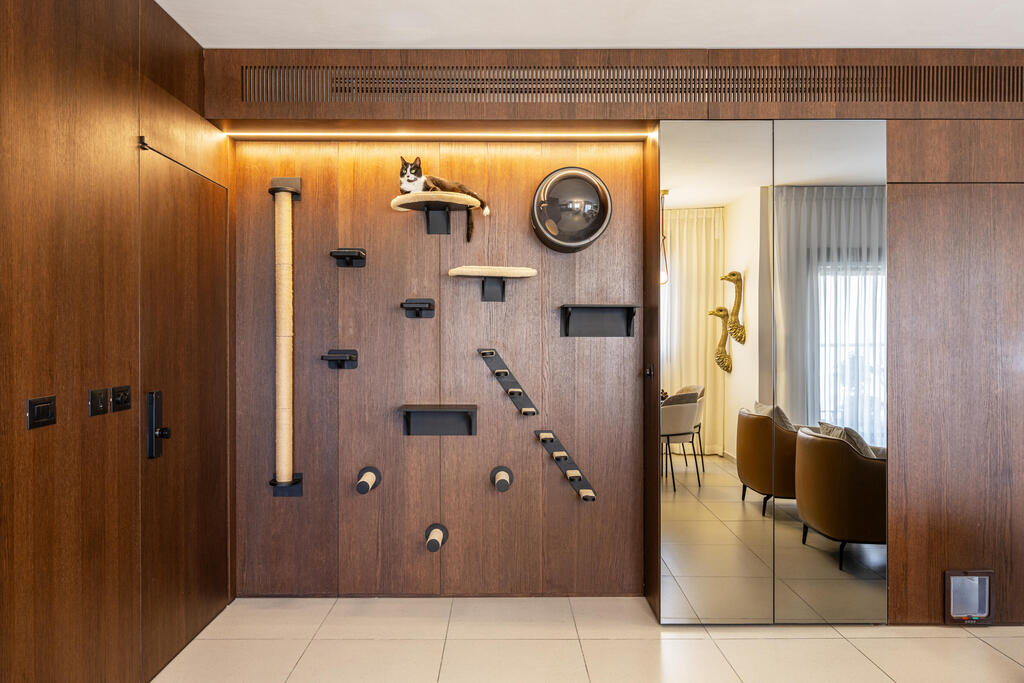 A dream wall for the cats at the entrance, doubling as storage (Photo: Yonatan Tamir) דירה לשוטר רווק, עיצוב: דותן ויסמין כהן