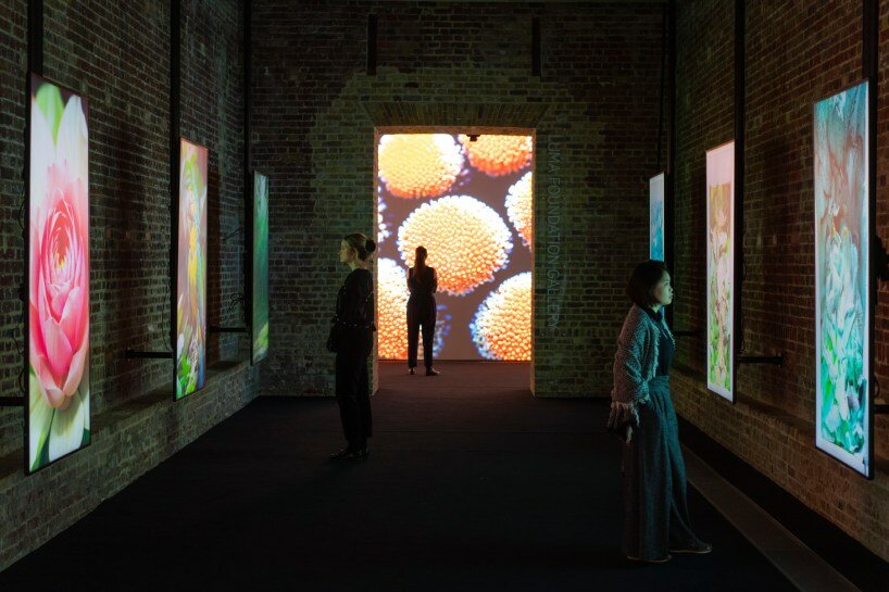 refik anadol on his exhibition at serpentine galleries: 'this AI model will be the voice of nature'