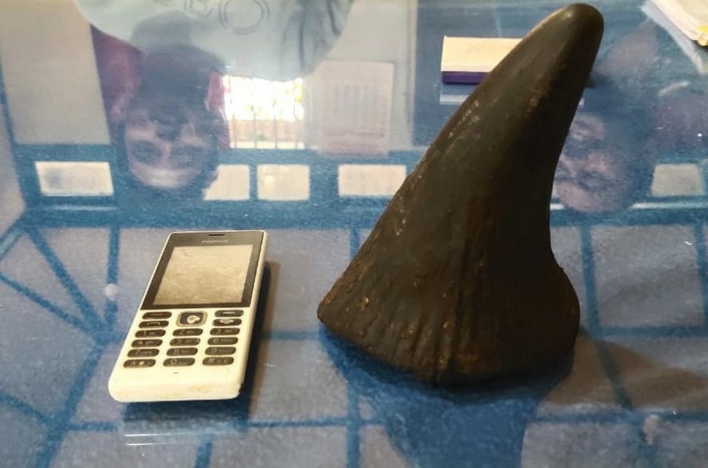 rhino horn
