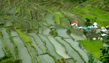 Philippines – Strait of Hormuz closure: Impact of higher oil prices and more - MUFG Research