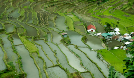 Philippines – Strait of Hormuz closure: Impact of higher oil prices and more - MUFG Research