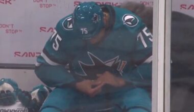 Ryan Reaves dislocates finger during fight, tries to put it back into place before heading to penalty box