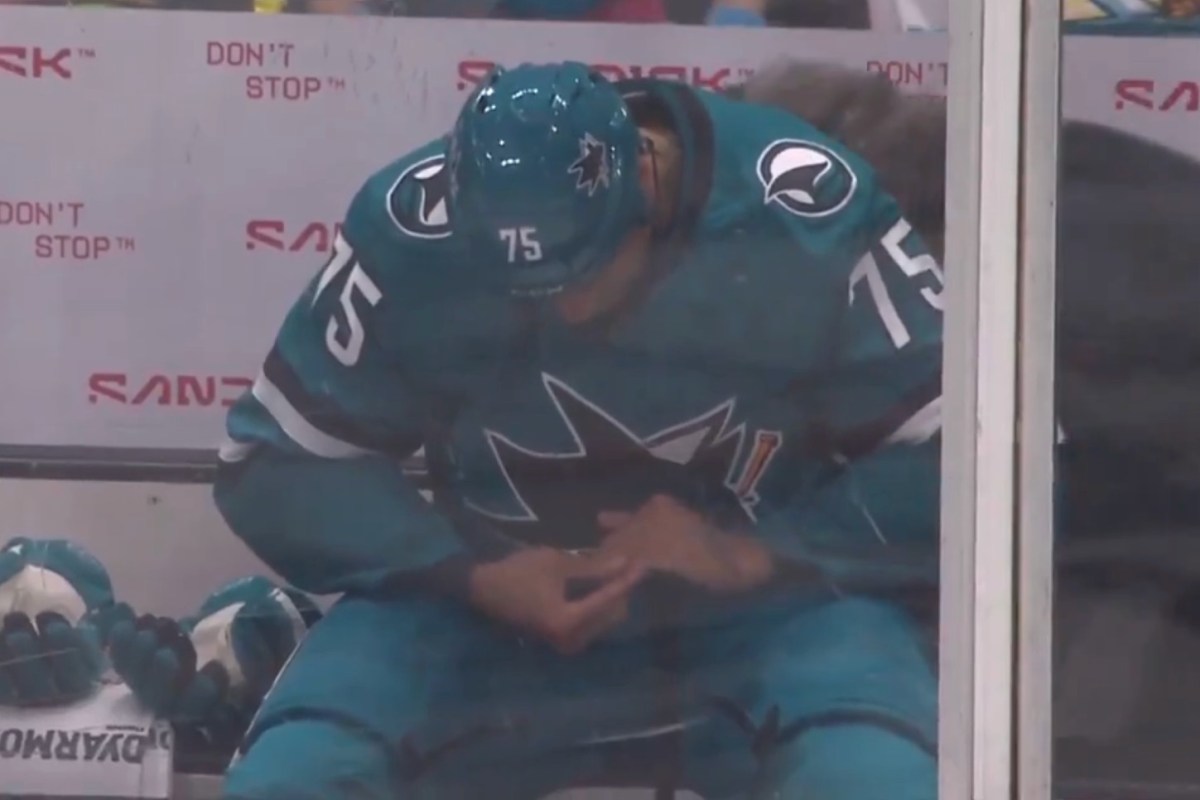 Ryan Reaves dislocates finger during fight, tries to put it back into place before heading to penalty box