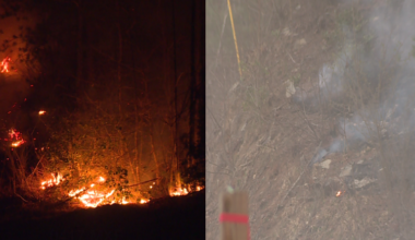 Large woods fire near Cane Creek Church Road; evacuations underway